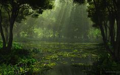 a pond surrounded by trees and water lilies in the middle of a lush green forest