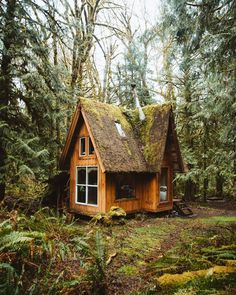 a small wooden cabin in the woods with moss growing on it's roof and windows