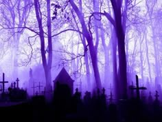 a cemetery in the middle of a forest filled with tombstones and trees covered in purple fog