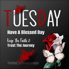 a red rose and two white butterflies on a black background with the words tuesday have a blessed day