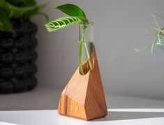 a wooden vase with a green plant in it