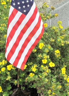 an american flag is in the middle of some yellow flowers