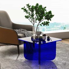 a glass table with a plant in it