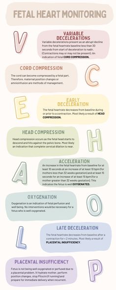 the different types of font and numbers