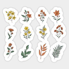 six stickers with different flowers and leaves on white paper, each one has an orange flower