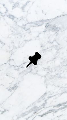 a black bird flying over a white marble surface