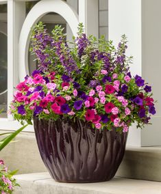 a purple vase filled with lots of flowers sitting on top of a cement step next to a white door