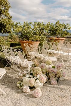 there are many chairs and flowers on the ground