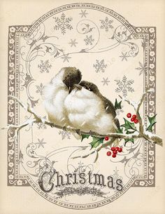 a christmas card with two birds on a branch