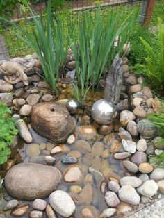 a garden pond with rocks and plants in it