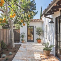 an orange tree in front of a house with potted lemons on the outside