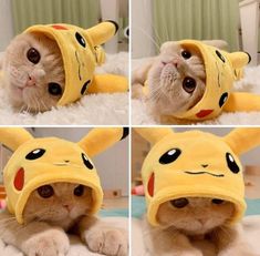 four pictures of a cat wearing a pikachu hat