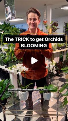 the trick to get orchids blooming