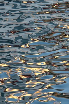 the water has many ripples on it and is reflecting the sun's light