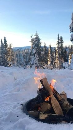 a campfire in the snow surrounded by trees