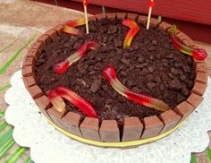 a cake decorated with worms and dirt on a table