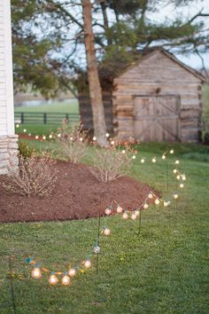 some lights that are in the grass near a tree and house with a shed behind them