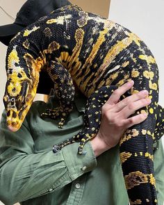 a man holding a large snake on his shoulder