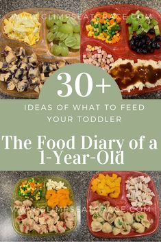 One Year Old Foods, Toddler Food Ideas, Easy Baby Food Recipes