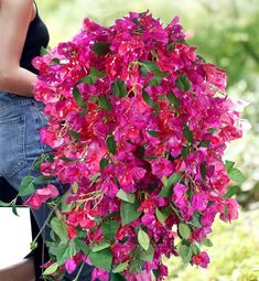 a woman is holding a large bouquet of pink flowers