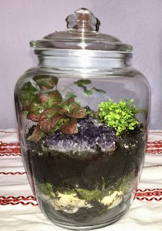 How to Create a Fabulous Terrarium - gardenstead