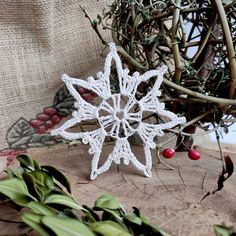 a crocheted snowflake sitting on top of a piece of wood next to berries