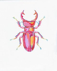 a drawing of a colorful bug on a white background