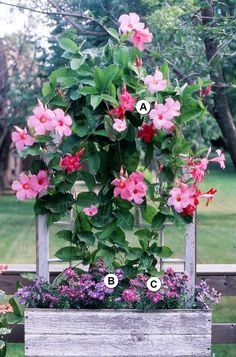 a wooden bench with pink flowers in it