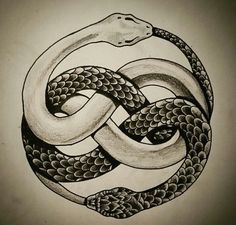 a drawing of a snake wrapped around a circle