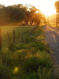 the sun shines brightly on a rural road near a fenced in field and trees