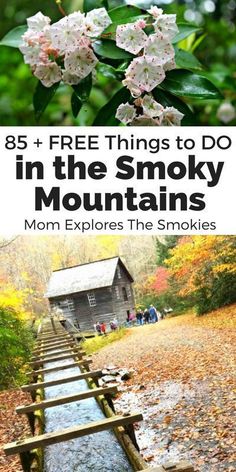 the smoky mountains with text overlay that reads 85 free things to do in the smoky mountains