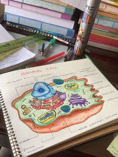 an animal cell is shown on top of a desk next to some books and pencils