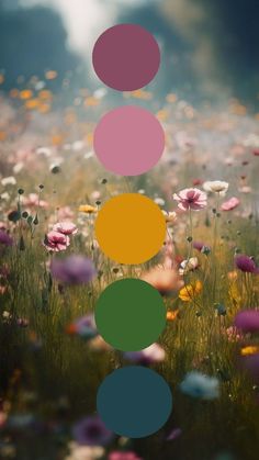 a field full of flowers with circles in the middle