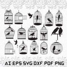 birds in cages svg dxf file