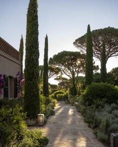 an outdoor walkway surrounded by trees and bushes