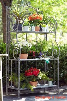 potted plants on a metal shelf in the garden