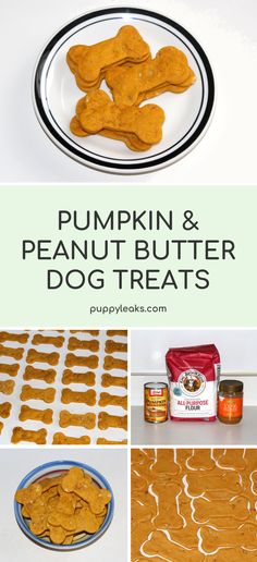 pumpkin and peanut butter dog treats on a plate with the words, pumpkin and peanut butter dog treats