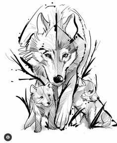 an ink drawing of two wolfs and their cubs