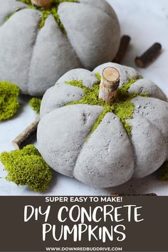 two cement pumpkins with moss growing on them and the words super easy to make diy concrete pumpkins