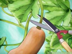 a painting of a carrot being cut by a pair of scissor scissors with leaves in the background