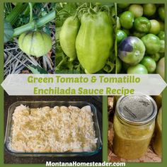 green tomatoes and other vegetables are shown in this collage with the words green tomato & tomato enchilada sauce recipe