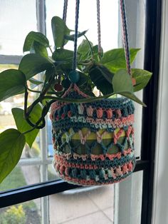 a potted plant hanging from a window sill