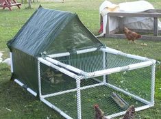 several chickens in a cage on the grass near a chicken coop with a green cover over it