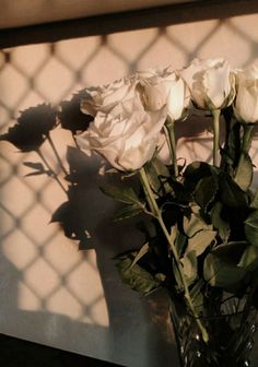 some white roses in a glass vase on a table next to a wall and a window