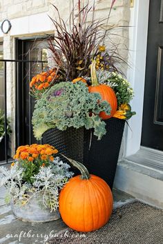 an assortment of plants and pumpkins on the front porch