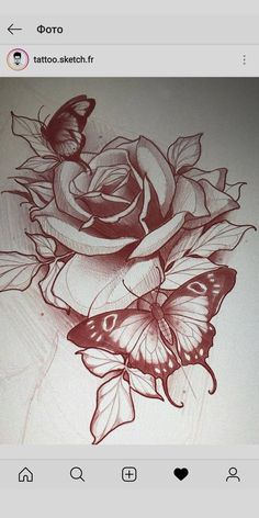 a drawing of a rose and two butterflies