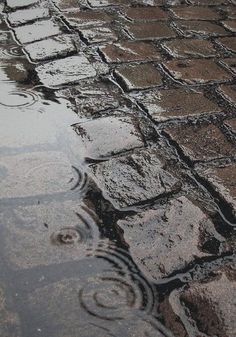 the reflection of an umbrella and raindrops on a wet brick road with puddles