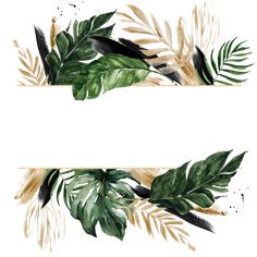 two watercolor banners with green leaves on them