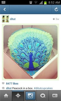 an image of a peacock cake in a box on the app store's facebook page