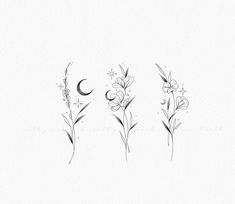 three flowers and the moon are drawn in black ink on white paper with watercolor pencils